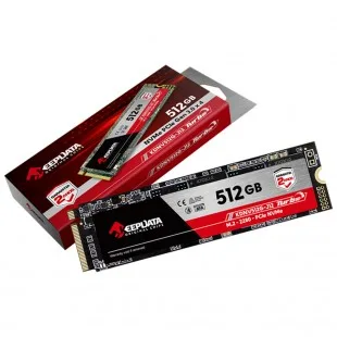Keepdata 512GB M.2 NVMe