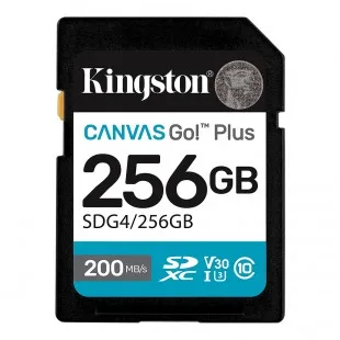 Kingston Canvas GO 256GB