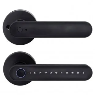 Sate Smart Door Look Negro