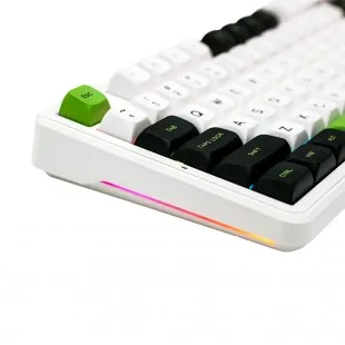 Aula F87 PRO RGB Meca. Inalámbrico Negro WHI