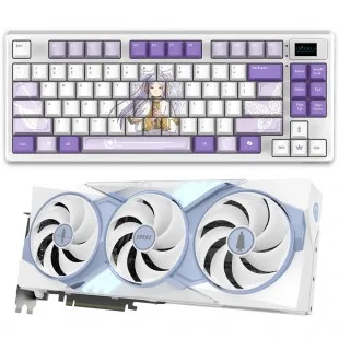 MSI GeForce RTX 5070 TI 16GB Frieren OC EDI