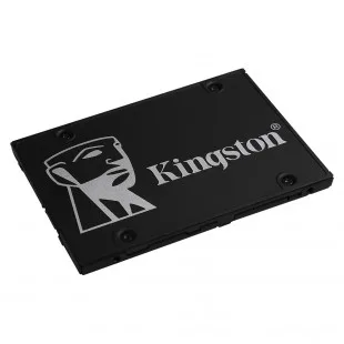 Kingston 256GB 2.5" 550/500