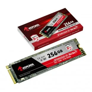 Keepdata 256GB M.2 NVMe
