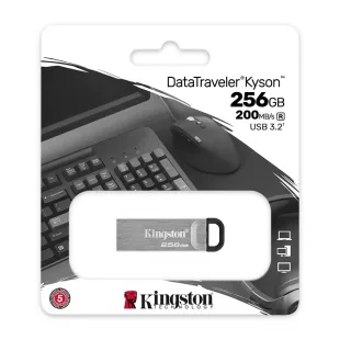 Kingston 256GB